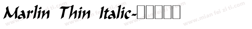 Marlin Thin Italic字体转换